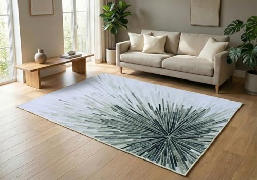Image of BLUSH & BLOOM 3 x 5 Feet Area Rugs Washable Rug: Modern Abstract Living Room Rug Soft Anti-Skid Thin Carpet Indoor Floor Non-Shedding Carpets for Bedroom Dining Farmhouse Nursery Home Office
