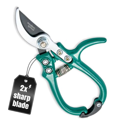 Modern Sprout Hand Pruners - Lightweight Pruning Shears W/Easy Lock- Gardening Scissors - Bypass Sharp Carbon Steel Blade - Rust Resistant - Garden Tools - Reusable Holster - Ocean