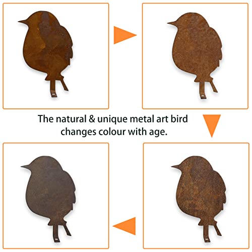 Talcos Y Desodorantes, Home Imagen adicional