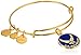 Alex and Ani "Armed Forces" US Air Force Expandable Wire Bangle Charm Bracelet