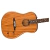 Fender Highway Series Dreadnought Acoustic-electric Guitar - Mahogany