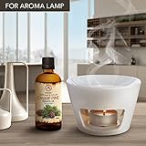 Zoom IMG-2 olio essenziale di pino mugo Zoom IMG-2 olio essenziale di pino mugo