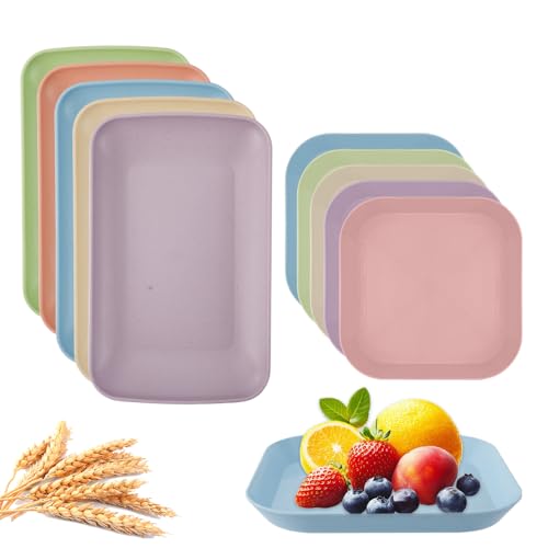 DIYJEP 10 Piccoli Vassoi da Portata con piatti Quadrati in Plastica, 24,5 x 14,5 cm, Piatto da Torta Riutilizzabile, Rettangolare, Piatto da Portata per Cucina, Sala da Pranzo, Caffetteria (5 Colori)