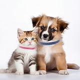 60 Stück Welpenhalsbänder Für Züchter Kitten Halsbänder 15 Farben Welpen Id Halsbänder Soft Welpenhalsband Mehrfarbige Verstellbare Wurfhalsbänder Für Neugeborene Welpen Kätzchen Haustiere 11,2 cm