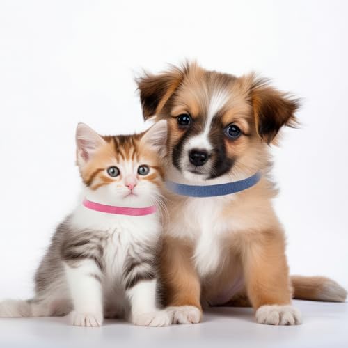 60 Stück Welpenhalsbänder Für Züchter Kitten Halsbänder 15 Farben Welpen Id Halsbänder Soft Welpenhalsband Mehrfarbige Verstellbare Wurfhalsbänder Für Neugeborene Welpen Kätzchen Haustiere 11,2 cm