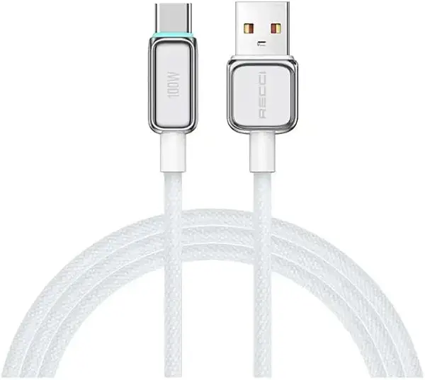 سعر ومواصفات كابل USB إلى C للشحن السريع PD100 وات من ريتشي طراز RS42C، فضي (B0FSLN37X8) على Amazon EG