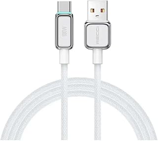 Recci RS42C Lamp Display PD100W Fast Charging USB to C Cable - Silver