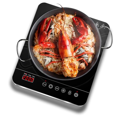 Aobosi Single Induction Cooker,Portable Induction Hob with Slim Body,Ceramic Glass Panel,10 Temperatures and Power Levels Settings,3 Hours Timer,Safety Lock