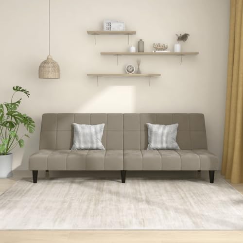 DYRJDJWIDHW Sofas de Salon cheslong,sofá Cama 1 Plaza,Sofa Cama Clic clac,Sofá Cama de 2 plazas Terciopelo Gris claroAdecuado para salón, Dormitorio