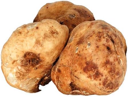 Bianchetto Truffle 2 oz