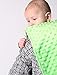 Snuggle Stuffs Baby 5 Pack Minky Dot Burp Cloths (Choose Color) (Boys)