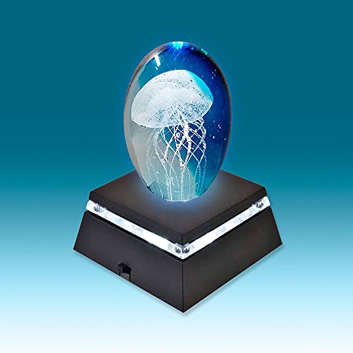 Asente 4 Led White Light Stand Base/Pedestal - Mini Ornament Display Stand For 3D Crystal Glass Art Or Sculpture Stand - Battery Operated Led Light Base, Display Pedestals (2-Pack, Ultra Bright) #TOP5
