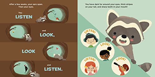 You Are a Raccoon! (Meet Your World) - Image 2