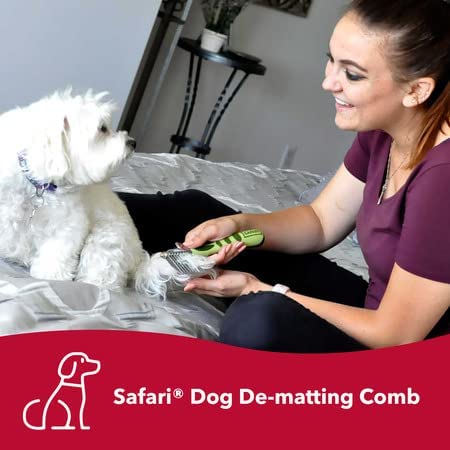 Coastal Pet - Safari - Dog Dematting Comb (Essential Kit) #TOP7