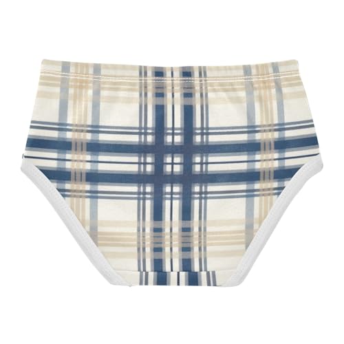 Unique Plaid Motif Image Girls' Underwear Breathable Material Comfort Underwear for Kid in Sizes 2T,3T, 4T, 5T, 6Y and 8Y2