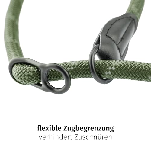 Floxik Retrieverhalsband grün | Robustes Dressurhalsband mit Zugstopp für mittelgroße und große Hunde, Halsumfang 30-60 cm, Ø 1,2 cm