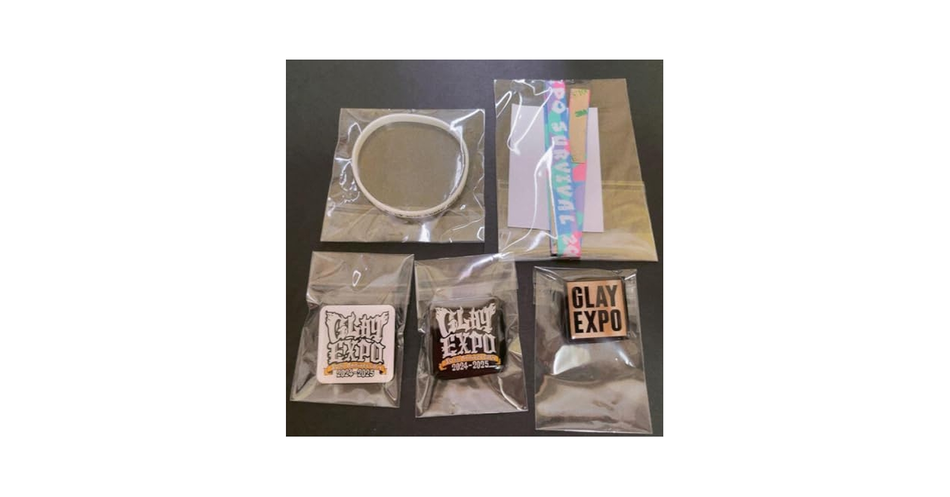 <EXPO 2024>ランダムバラエティグッズ ① Amazon.co.jp: GLAY EXPO 2024 ランダムバラエティグッズ : Toys