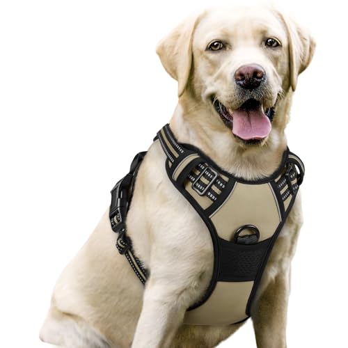 rabbitgoo Dog Harness No Pull with 2 Leash Clips, Adjustable Soft Padded, Reflective Oxford No Choke Pet Vest with Easy Control Handle for Large Dogs, Beige, L
