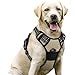 rabbitgoo dog harness