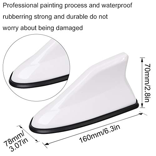 XYDZ 2PCS Antenna Pinna, Universale Auto Squalo