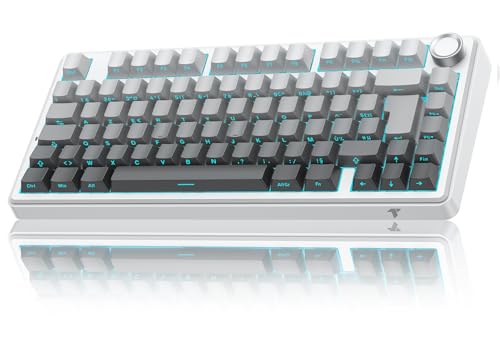 Clavier Gaming Mécanique- 75% ISO-FR sans Fil Hot-Swap, Gasket Mount,