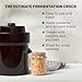 Fermentation Crock 1/2 Gallon - Sauerkraut Crock with Lid, Weights & Pounder - Ceramic Fermenting Crock Kit for Pickling Cabbage Kimchi Vegetables - 2 Liter Fermentation Jar - Stoneware Pickle Pot