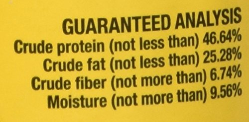 Fluker's Freeze Dried Insects - Mealworms, 1.7 Oz - Image 6