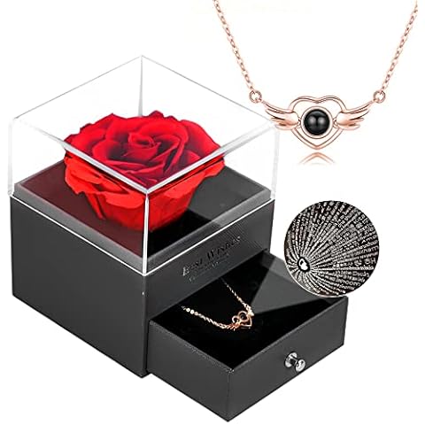 AMONE Preserved Red Real Rose with I Love You Necklace Eternal Flowers Rose Gifts for Girlfriend Wife Mom Birthday Gifts Mothers Day Anniversary for Women Cover