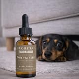 Mischung aus Bachblüten 'gestressten Hund', ohne Alkohol, beruhigt Ihren Hund. Dies ist ein natürliches Anti-Stress-Spielzeug für den täglichen Gebrauch, Fl 30 ml.