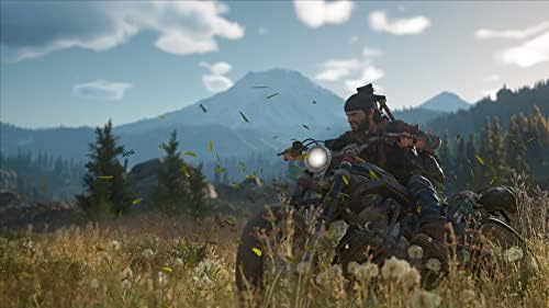 Days Gone Standard - PC [Online Game Code] — view 9
