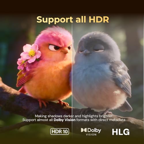 zidoo Z3000 PRO-8K HDR Media Player, Amlogic S928X-K Processor 8G+64G, Base on Android 11os, Support DV,HDR10+ and All HDR Technoly,BDMV/BDISO by zidoo - Image 3