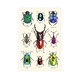 Hervorragende Qualität: Es handelt sich um hochauflösende Bilder, die auf Leinwand gedruckt werden, mit wasserfester, umweltfreundlicher Tinte. Das Kunstwerk ist wasserdicht, UV-beständig und farbecht für mehr als 30 Jahre.