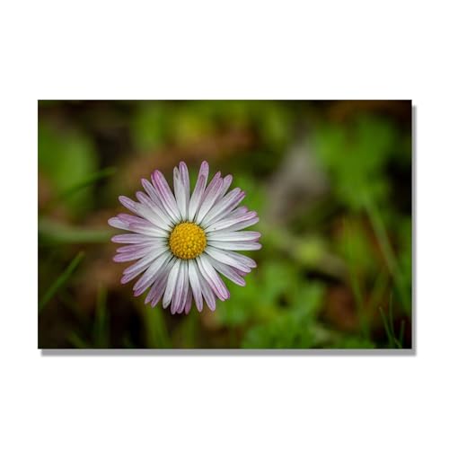 Tableau Fleurs Évadez-Vous Avec Une Décoration Salon Nature Authentique