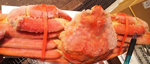 {C@YCKj@p@@3kg@i@4-T@j@Ⓚ@킢Ɂ@U(11)ȊO͔\łB