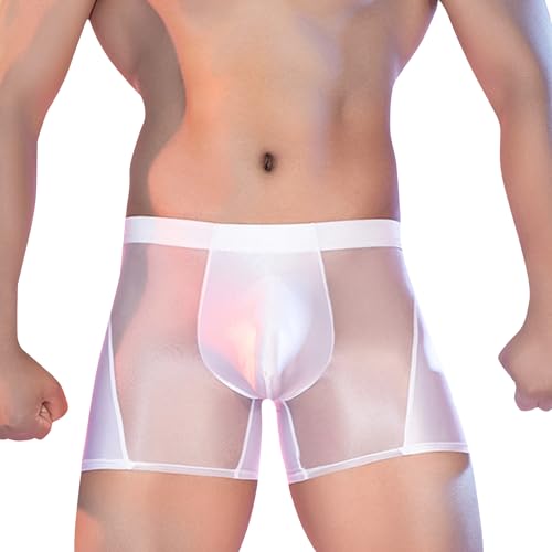 Glossy Mens Boxer Briefs Sheer Underwear Silky Boxers Transparent Lingerie See Through Shorts