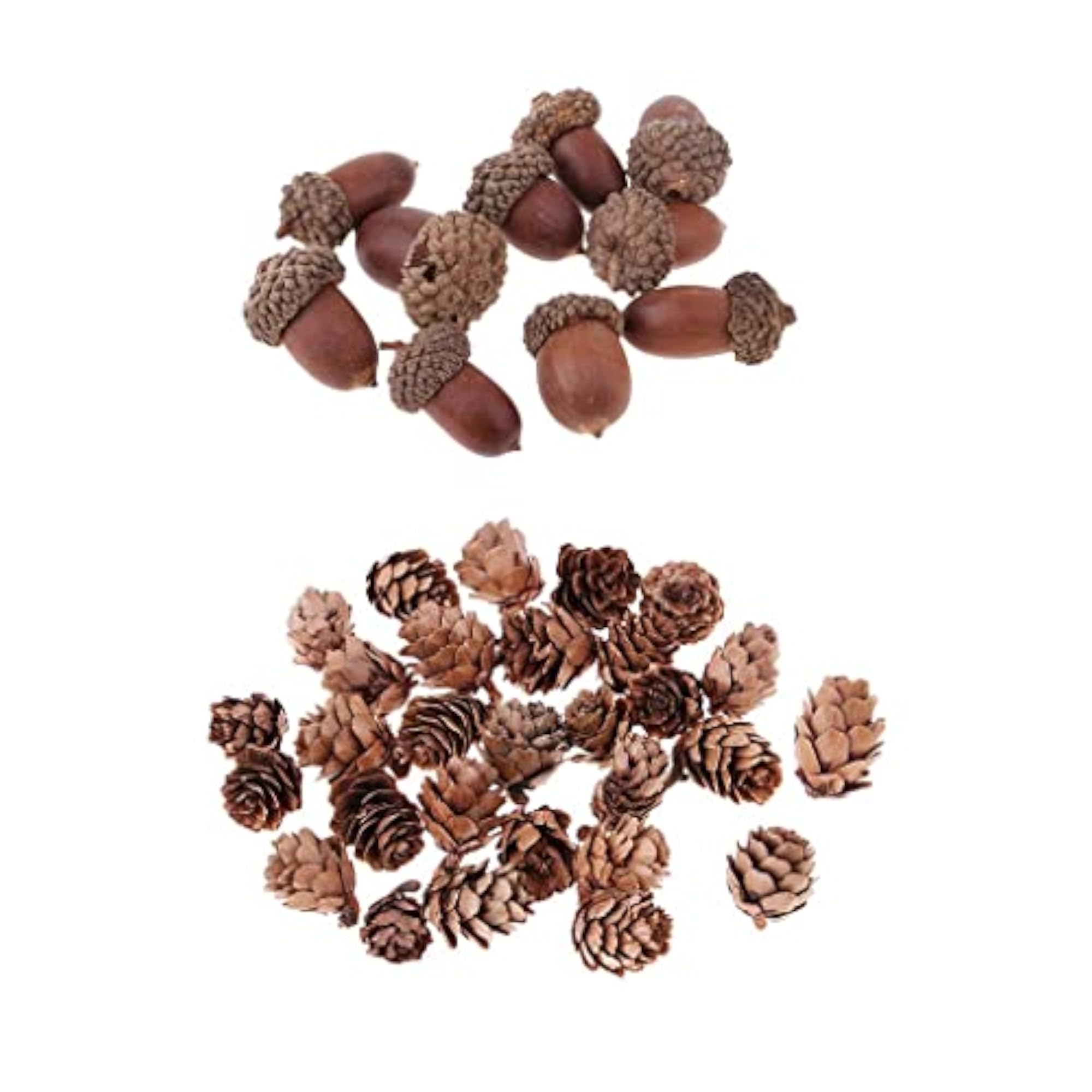 Natural Pine Cones Dried Table Ornament for Home Decoration