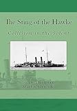 The Sting of the Hawke: Collision in the Solent