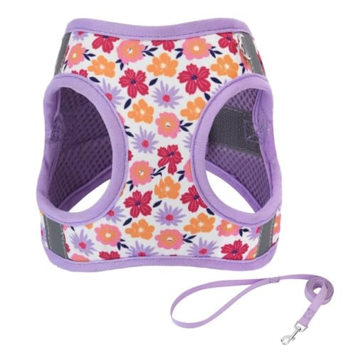 Angoda犬用ハーネス リードセット 小型犬 中型犬 大型犬対応 引っ張り防止 調節可能 通気性メッシュ 反射材付き 簡単着脱 抜けない 快適 おしゃれ 散歩 訓練 老犬介護 歩行補助 ペット用品 リード セット 胴輪 夜間反射材 負担ない 人気 可愛い