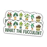 (2pcs) Gardening Sticker Gardener Plant Decal What The Fucculent Funny Vinyl Stickers Weather-Resistant Stickers for Water Bottles Laptop Window Car 2pcs Size 3'