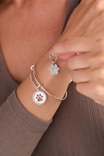 Image of ALEX AND ANI Pet Love Bracelets