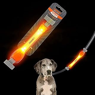 LaRoo Light Up Dog Collar with Nylon Stickers, Universal Glowing Collar Accessories for Leash Harness, Silicone Waterproof Dog LED Flashing Collar Night Outdoor Safety