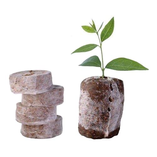 MyOwnGarden Cocopeat Disc Coin - Seed Starter Pack of 10 (B09TP66R6Q) Amazon Price History, Amazon Price Tracker