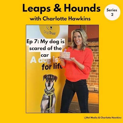 7. Help! My dog is scared of the car