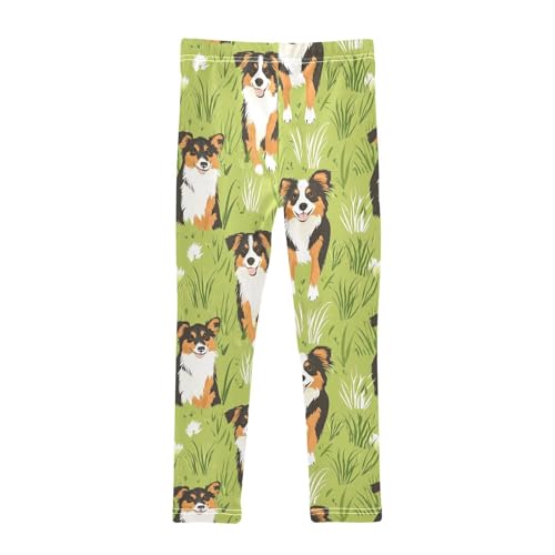Australian Shepherd Girls Leggings,Workout Leggings for Girls Toddler Athletic Legging Size for 3-10T2