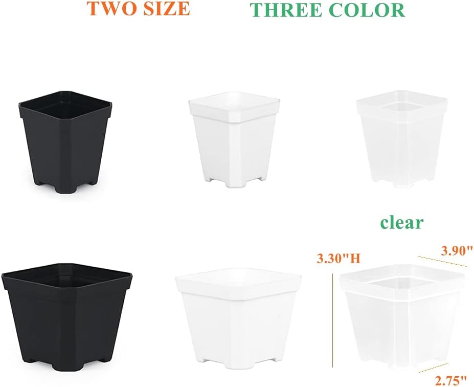 BangQiao 30 Pack Small 3.90 Inch Plastic Square Nursery Pot, Plant Starting and Transplant Planter Container with Drainage Hole for Seed Germination, Clear : Patio, Lawn & Garden