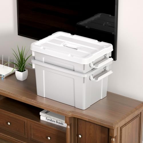 Cetomo 20L*4 Aufbewahrungsboxen, Tragbare Plastikboxen mit Deckeln, Organizer-Behälter mit Griff und Clips, Stapelbar, Ineinander Nestbar, für Zuhause und Büro, Grau, 20L-4er Pack