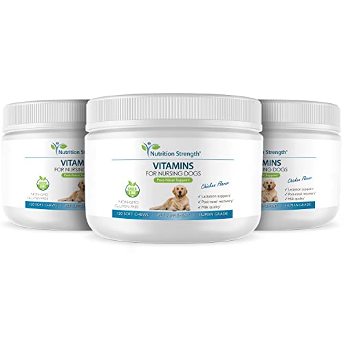 Nutrition Strength Vitamins For Nursing Dogs To Support Lactation And Post-Natal Recovery, Promote Milk Quality And Healthy Puppies With Calcium, Phosphorus, Magnesium And Zinc, 120 Soft Chews #TOP4