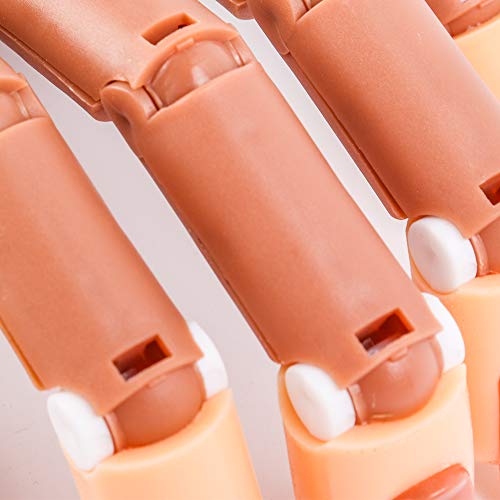 Nail Trainning Practice Hand, Nail Display Manicure Supply, Flexible Movable False Fake Hands for Nail Manicure, Best Manicure DIY Print Practice Tool - Thumbnail 6