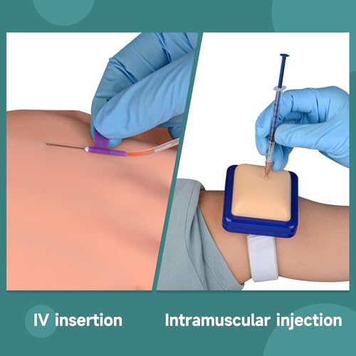 Image of Phlebotomy Practice Kit, IV Practice Arm with Veins, Blood Draw & Venipuncture Training for IV Insertion Practice, IV Injection Practice Kit for Medical Education and Demonstration Only