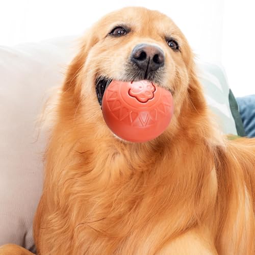 INSUM Tennisbälle Für Hunde – 6,3 Cm, 12 Stück In 6 Farben – Leicht, Gut Zu Fangen